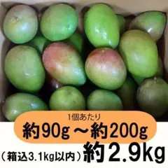 橙5-2】約4.7kg グリーンマンゴー 青マンゴー マンゴー 摘果マンゴー