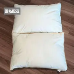 【2個セット】正規品・日本ベッド ピロー リフワージュ 枕