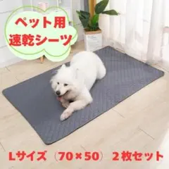 Item thumbnail for item 27b0eb09-fdf1-4460-acec-c4a17dabd2ed