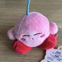 星のカーヴィ　スタンダードぷちマスコット　すやすや　ぬいぐるみ　正面横幅約7cm