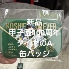 2026年最新】甲子園 100周年 ピンバッジの人気アイテム - メルカリ