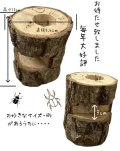2026年最新】昆虫用止まり木・インセクトシェルターの人気アイテム