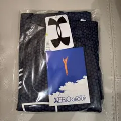 Under Armour ボーイズトレーニングパンツ YMD