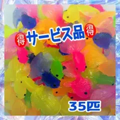 金魚35匹 金魚すくい 水遊び お祭り 縁日 おうち縁日 vのサムネイル