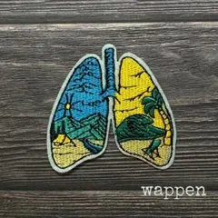 刺繍 ワッペン　アイロン　 アウトドア no.30
