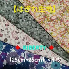 Item thumbnail for item 08f2b9e0-2efe-4a08-a1f6-085654d080f1