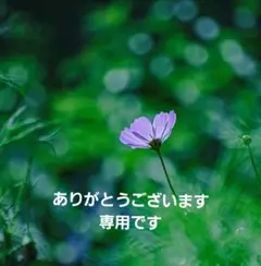 とりさん様専用です(⁎ᴗ͈ˬᴗ͈⁎)
