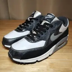 レア キムタク着 NIKE AIR MAX 90 "PYTHON" 28のサムネイル