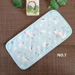 Item thumbnail for item 99d73704-1cd8-434a-a9e6-c6e6e9df56c4