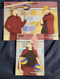 ハイキュー!! 稲荷崎 ポストカード アニメイト特典