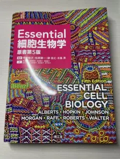 Item thumbnail for item a2d7e15d-36a6-4a5c-98dd-8d391152c94e