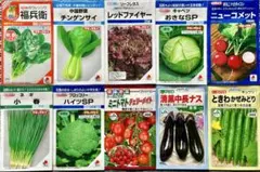 まっちゃん様 リクエスト 2点 まとめ商品