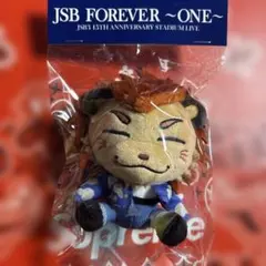 小林直己　ぬいぐるみキーホルダー　三代目JSB スタジアムLIVE 小林直己 ぬいぐるみキーホルダー 三代目JSB スタジアムLIVE - メルカリ