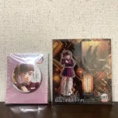 鬼滅の刃 飾れる缶バッジ 描き下ろしアクリルスタンド 栗花落カナヲ