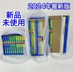 【新品・未使用】2024年 最新版 シングアロングDWE ディズニー英語