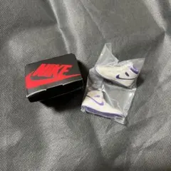 NIKE Air Jordan1 ガチャガチャ METALLIC PURPLE