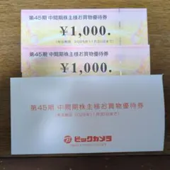 ビックカメラ 株主優待 2000円分　(1000円×２枚)