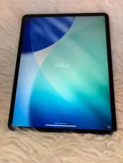 ●付属品多数　iPad Pro 12.9 第4世代 256GB スペースグレイ
