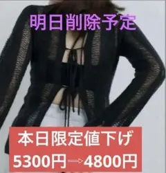 【明日削除予定】アンヌーク anuke Sheer Ribbon Knitのサムネイル