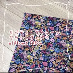 Item thumbnail for item 4d044558-fd1a-4a13-9be1-918681a505f4