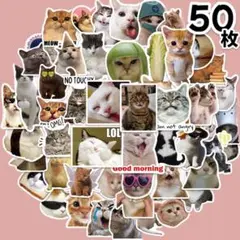 猫ミーム ステッカー 50枚セット TikTok 猫 おもしろ 防水 シール