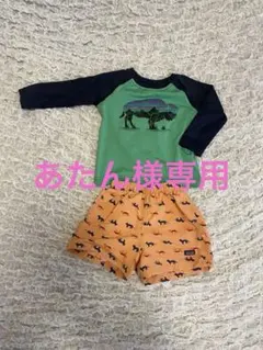 Patagonia 水着、水陸両用 ラッシュガード、短パンセット
