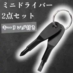 미니 스크루드라이버, 2개 세트, 키링, 키홀더, 스크루드라이버, 수동 공구, 검은색, 22