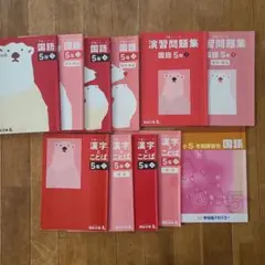 四谷大塚　予習シリーズ国語 5年 上下 演習問題集上　漢字とことば上下　セット
