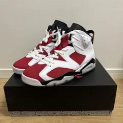 【美品28.5cm】NIKE AIR JORDAN 6 RETROカーマイン