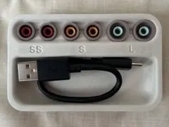 SONY WF-1000XM5 ワイヤレスイヤホン 付属品 イヤーピース