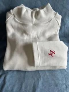 Item thumbnail for item aa977c70-6b25-4466-a953-6229c7110763