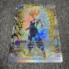 【誇り高き戦闘民族】孫悟飯:少年期　srパラレル