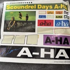 Item thumbnail for item 0cc910eb-28ad-4fff-bd69-9fd9c183327f