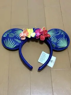 ディズニー ミラベル 海外 刺繍 ミニー ミラベルと魔法だらけの家