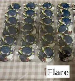 CR crazyraccoon fes 2024 缶バッジ ノーマル 等身