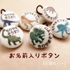 お名前入りボタン 恐竜【６種類、６個セット】ネームタグ　入学入園に