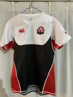 Item thumbnail for item 418019c1-b904-4aee-b656-22e88d1cc374