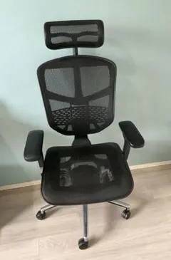 エルゴヒューマン エンジョイ（ENJOY）メッシュチェア　多機能オフィスチェア