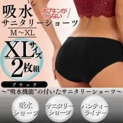 XL 2枚組 サニタリー 下着 吸水ショーツ 黒 生理 パンツ 尿もれ 夜用
