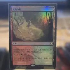土地譲渡/land grant 4枚セット - メルカリ