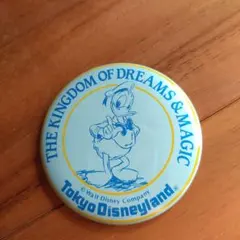 東京ディズニーランド ドナルドダック ミラー