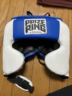 Item thumbnail for item 2a2d0a48-13f0-41ce-8d01-1dbdcbb56f1a