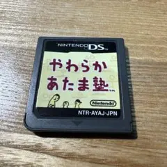 やわらかあたま塾 ニンテンドーDS用ソフトと説明書（動作確認済）