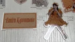 りゅーきですと様専用