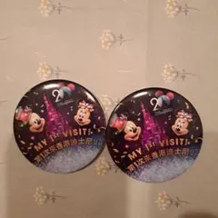 香港ディズニーランド 記念バッジ