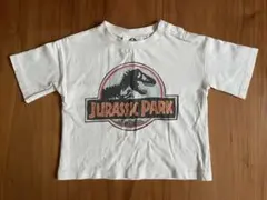 【９０】ジュラシックパークTシャツのサムネイル