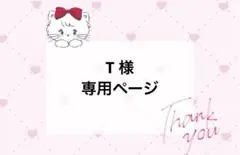 T様 オーダーページ ぬいパル T様 オーダーページ ぬいパル - メルカリ