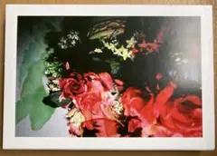 薔薇 Rose Garden F4 33.3x24.2cm 一点物 - メルカリ