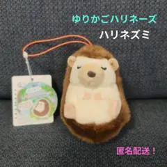 ゆりかご　ハリネーズ　ハリネズミ　 ぬいぐるみ マスコット　約8cmのサムネイル