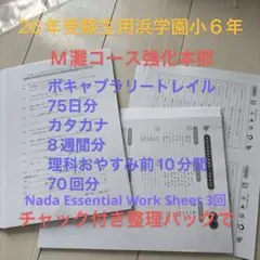 チェックカード 30点セット　灘中　甲陽　浜学園　算国理　漢字　慣用句　外来語 灘中受験対策 国語】中学受験対策 オリジナル暗記カードセット （四字